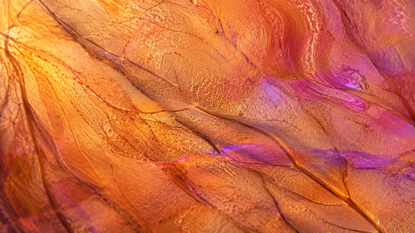 A diffuser releasing prism-lit mist beside a rolled yoga mat and morning light